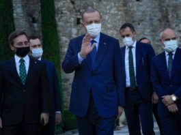 turska-novinarka-uhapsena-zbog-navodne-uvrede-upucene-erdoganu