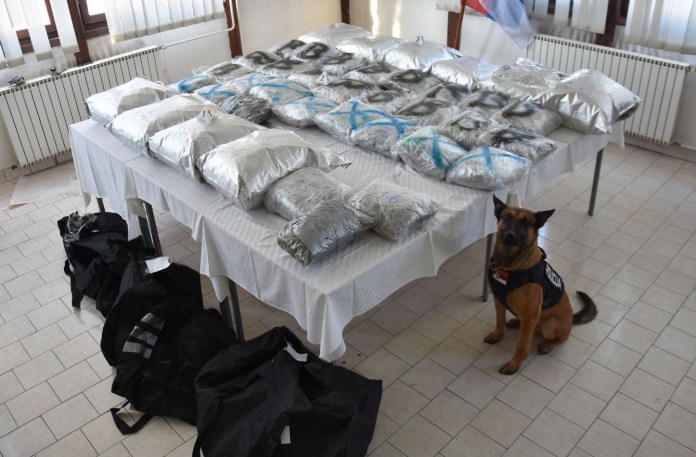 novopazarska-policija-zaplenila-veliku-kolicinu-droge!-kod-tutina-uhapsena-organizovana-grupa-kriminalaca-(foto)