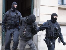 nemacka-policija-zaplenila-35-tona-kokaina,-uhapseno-sedam-osoba