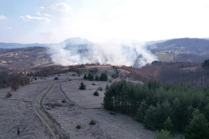 drama-kod-prijepolja-i-dalje-traje:-vatra-guta-stabla-panciceve-omorike,-na-lice-mesta-stigla-i-dva-helikoptera